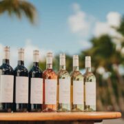 Beachcomber Sommelier's Selection